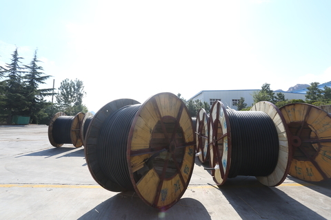 <img src=http://www.mas-events.com/d/file/848e883e8e1cfbe2faa386e7e648ddd9.jpg height=300>